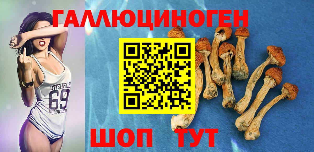 Псилоцибиновые грибы прущие грибы Отрадное