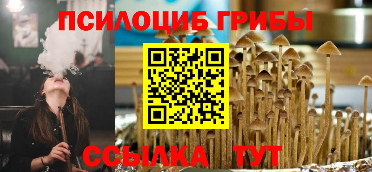 Отрадное  Псилоцибиновые грибы Psilocybe  Вход с VPN 